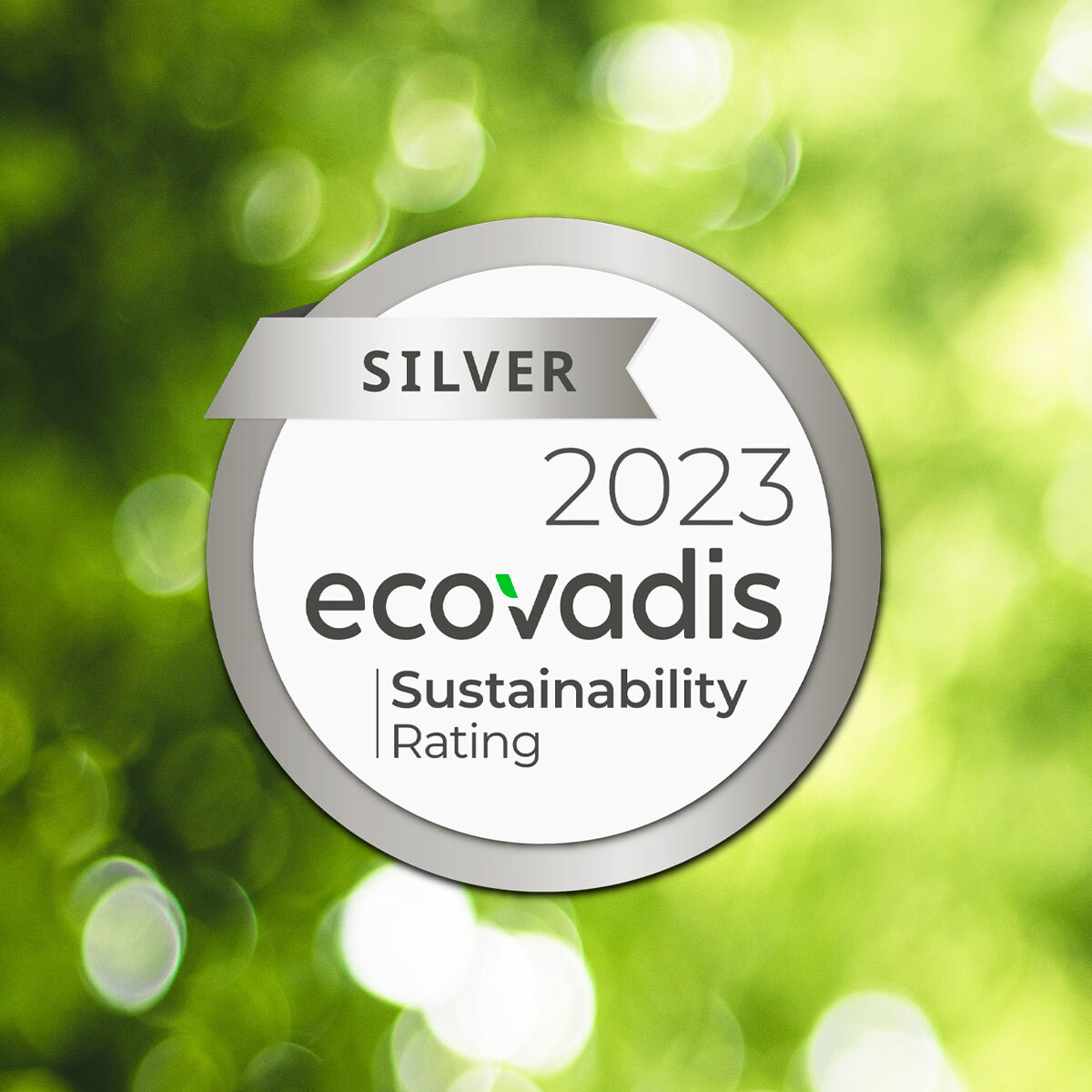 Silver Ecovadis